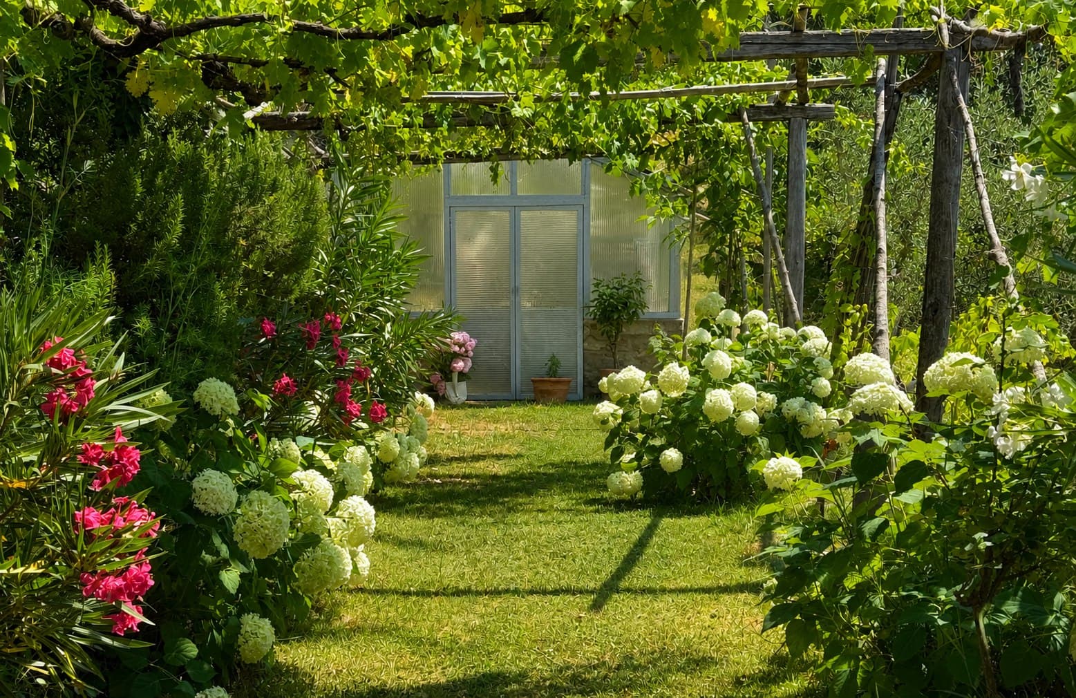 Il giardino fiorito sotto il pergolato, con la serra sullo sfondo